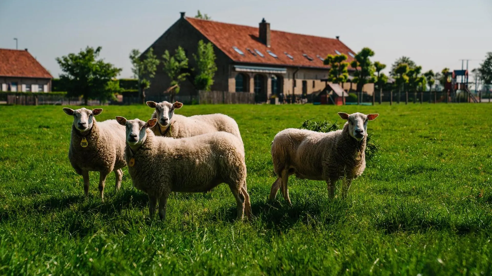 Hoevehotel Ter Haeghe contacts